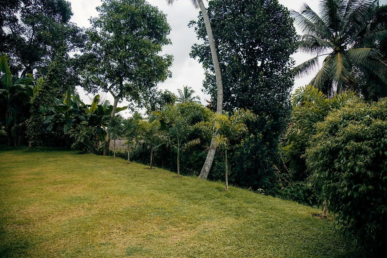 קנדי Thomasz Lodge לינה וארוחת בוקר