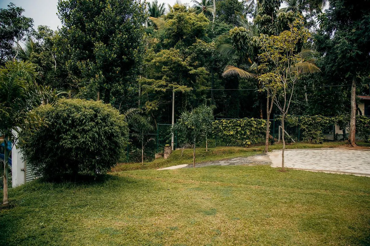 קנדי Thomasz Lodge